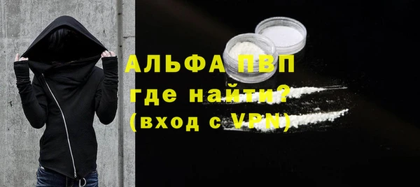стаф Алексин