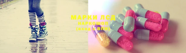 стаф Алексин